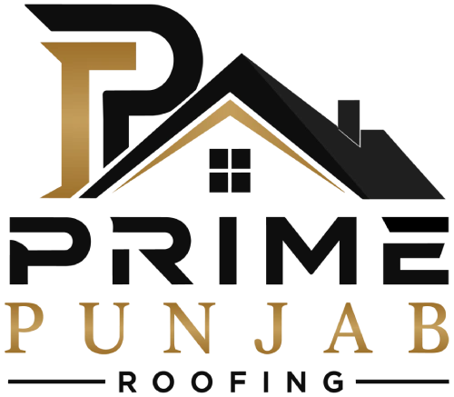 Prime Punjab logo