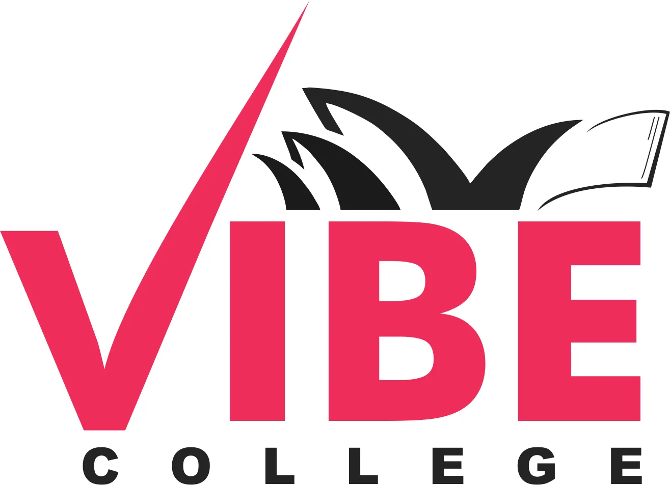 Vibe College logo
