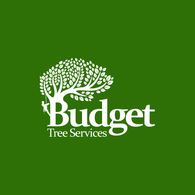 budget tree services logo