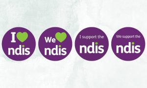 NDIS Providers Logo Usage