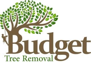 budget tree removal logo
