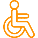 ndis icon